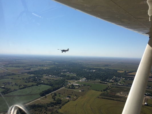 Card maule flying